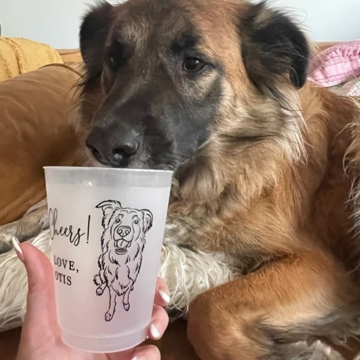10/50 カスタム犬猫ペットポートレートフロストプラスチッ - Plastic Cup 50Pcs のレビューと価格