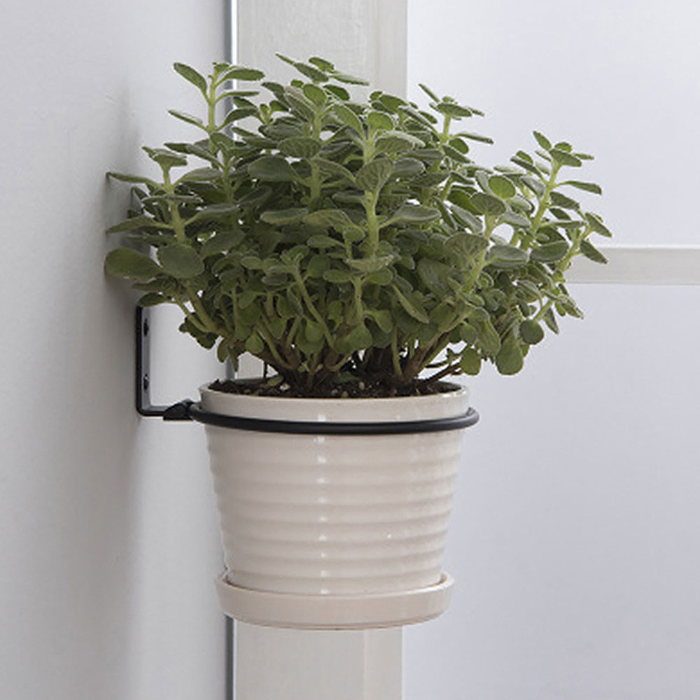 植木鉢トレイ壁掛けポットリングホルダー金属プランターフックハ - Flower Wall Panel のレビューと価格